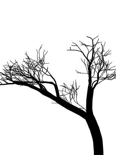 黑色和白色的树的剪影图片下载