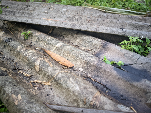 又旧又脏的灰色石棉屋顶，四周杂草丛生图片下载