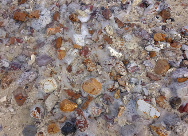 海滩上岩石和砾石的混合物，海螺壳和其他岩石散落在地面上的照片。图片下载