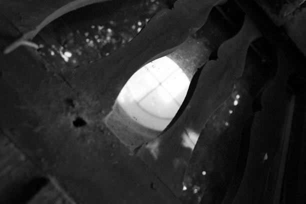 在带木栏杆的美丽豪华楼梯上观看自下而上图片下载