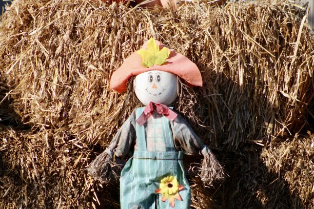 秋天的场景图片下载