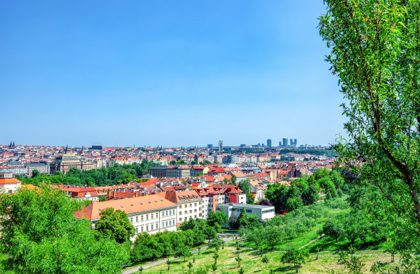 夏日的布拉格，透过捷克共和国的绿树，从彼得林山看风景图片下载