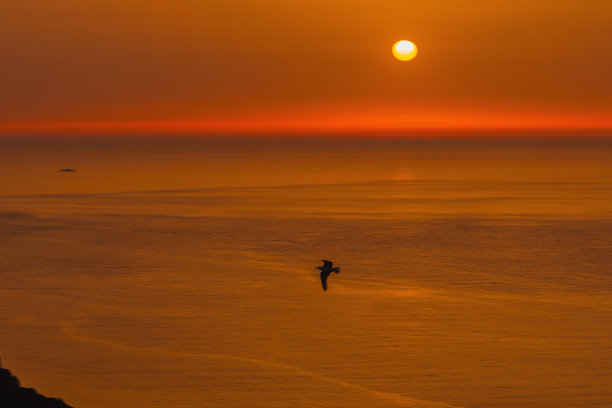 令人惊叹的日落时间气氛模糊的照片在黄金时间的海洋景观。壁纸，屏幕保护程序，背景，复制空间的灵感图片下载