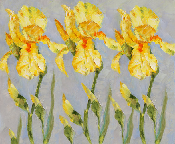 时尚的插画现代艺术作品我的油画原画春天的花朵印象派水平的静物枝干盛开着明亮的黄色阳光三蝴蝶花图片下载