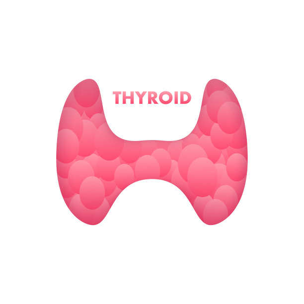 甲状腺解剖学，人类的甲状腺。医疗设计信息图。矢量图图片下载