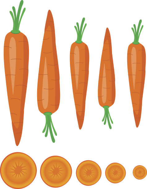 胡萝卜图片下载