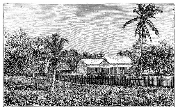 汤加寺庙图片下载