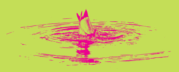 鸭食颠倒图片下载