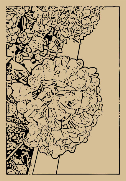 抽象艺术植物花卉插画图片下载