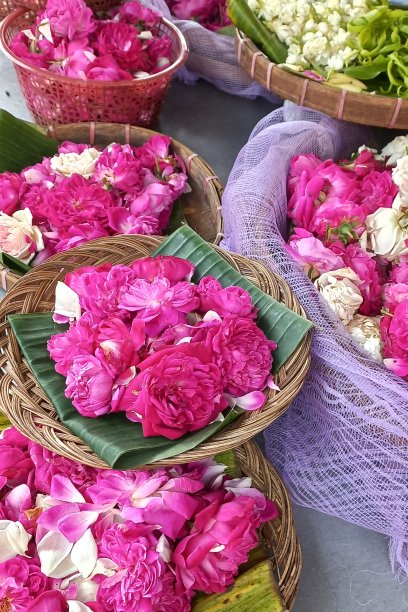 美丽的玫瑰花，用于坟墓或葬礼或文化活动，粉红色和白色的颜色|印度尼西亚文化图片下载