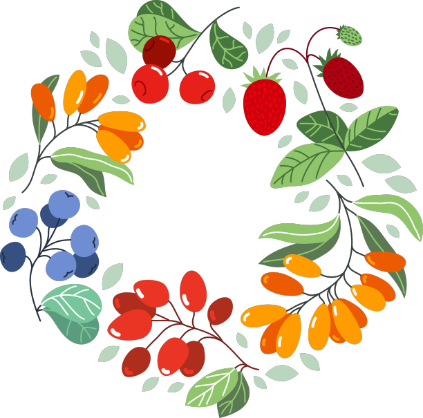 野生浆果新鲜成熟，美味健康图片下载