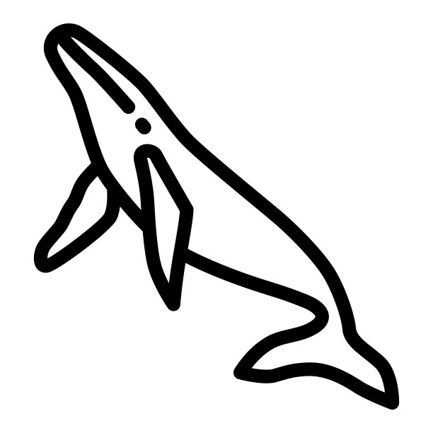 鲸鱼线图标，海洋概念，虎鲸标志在白色背景，抹香鲸图标在轮廓风格移动概念网页设计。矢量图形。图片下载