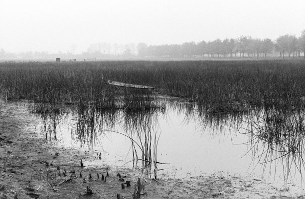 有雾的干涸的湖泊和一艘废弃的船的颗粒模拟照片图片下载