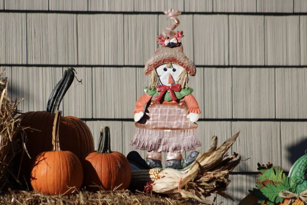 秋天的场景图片下载