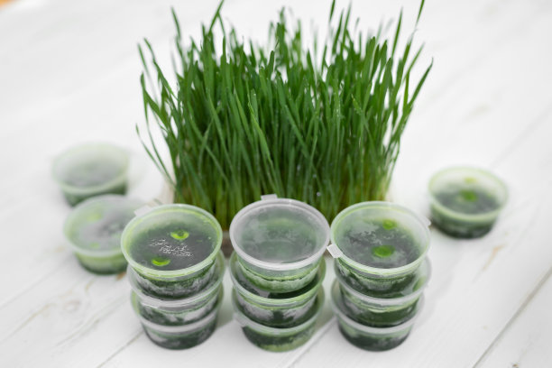 以小麦胚芽为背景的湿草磨砂罐。图片下载