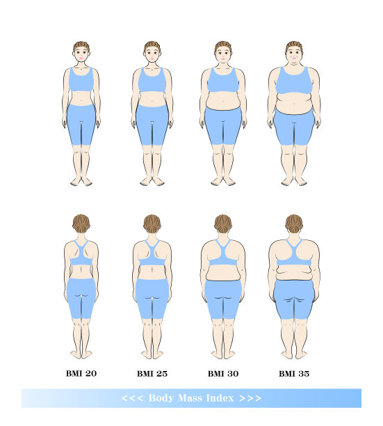 身体质量指数。中年女性的体型变化。前后饮食。插图。向量。图片下载