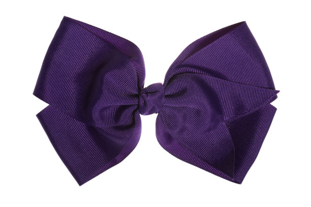 美丽的紫色学校礼物蝴蝶结孤立在白色上图片下载