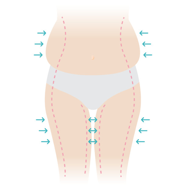 女人身体脂肪矢量插图隔离在白色背景。图片下载