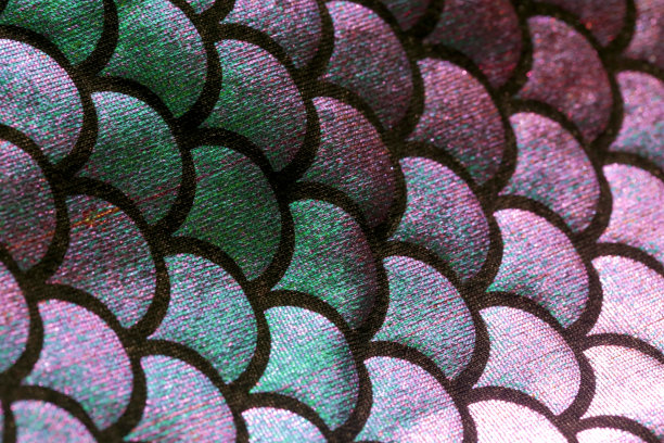 美人鱼的尾巴图案，近距离看。闪亮的氨纶鱼皮纹理。为女孩设计的纺织品。图片下载