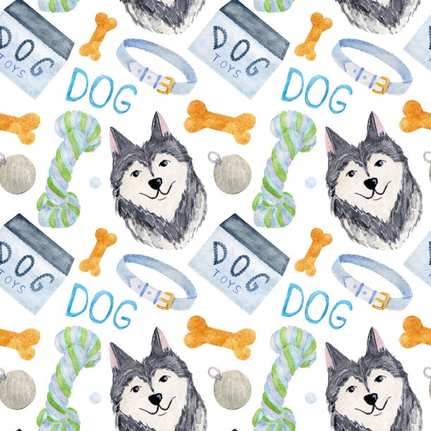水彩图案与各种狗玩具，配件，文字和哈士奇肖像在白色背景。图片下载