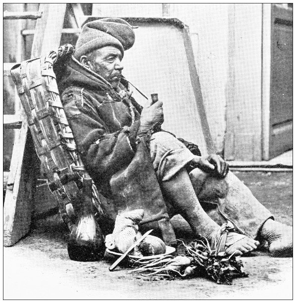 那不勒斯和坎帕尼亚的古董旅行照片:中午午餐图片下载