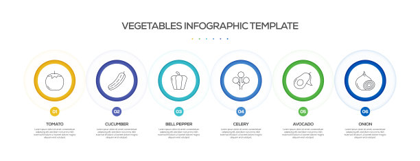 蔬菜相关工艺信息图表模板。过程时间图。带有线性图标的工作流布局图片下载