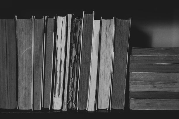 书架上的书在家里的黑白特写照片，书架上，阅读和学习图片下载