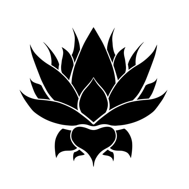 从背景隔离的莲花的矢量黑色轮廓。天然神圣象征为水疗中心和瑜伽中心的标志。图片下载