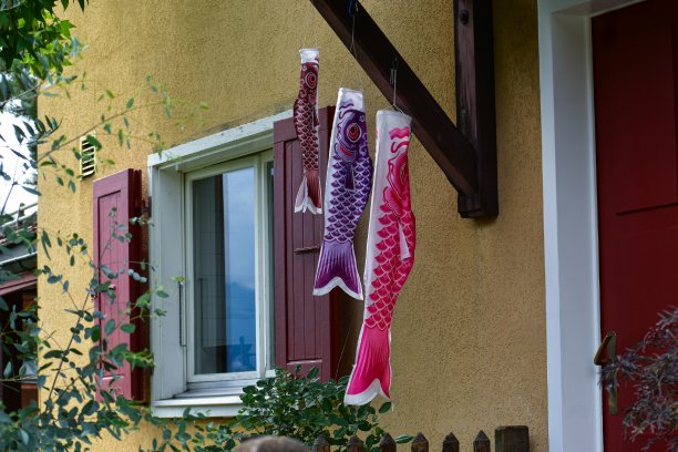 日本风筝图片下载