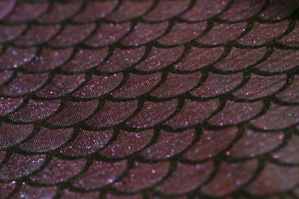 美人鱼的尾巴图案，近距离看。闪亮的氨纶鱼皮纹理。为女孩设计的纺织品。图片下载