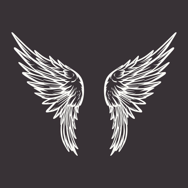 矢量翅膀图标。复古天使翅膀图标，设计模板，剪贴画。丘比特、天使或鸟的翅膀。矢量图图片下载