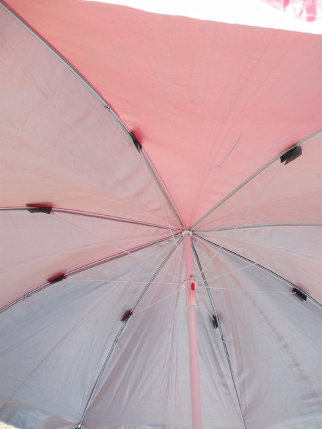 伞是一种用来防止或容纳雨水的容器，雨水会冲入人体。雨伞也被用来制造阴影，防止阳光暴晒。雨伞用来抵御图片下载