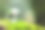 环境。森林中草苔上的玻璃球，抽象散焦光的绿色星球，环保理念。这张图片的元素由美国宇航局提供图片下载