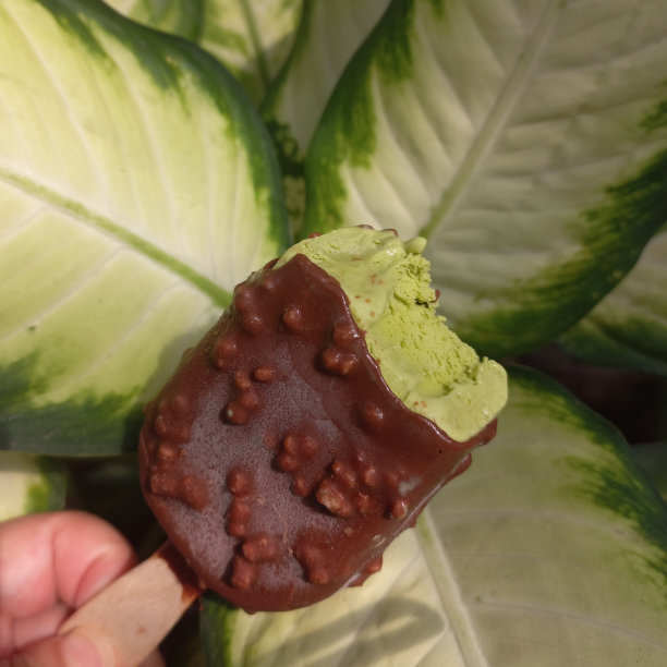 绿茶或抹茶冰淇淋与碎巧克力，糖果味|植物背景|自然库存照片没有效果图片下载
