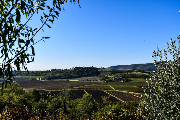 法国葡萄园，数码照片图片为背景图片下载