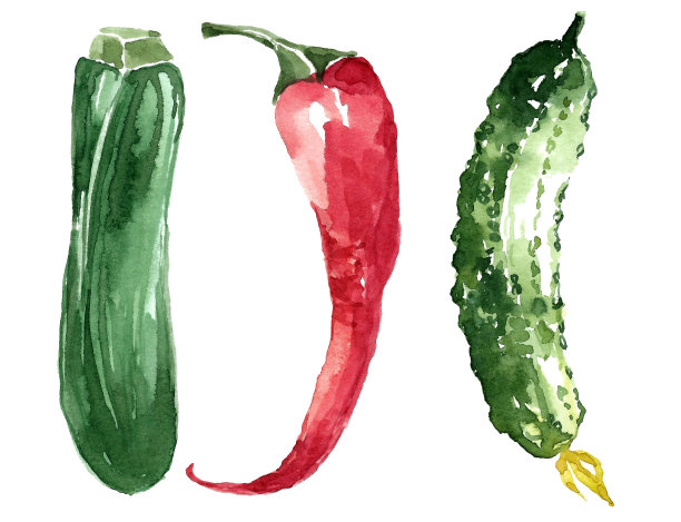 一套三种蔬菜作物图片下载