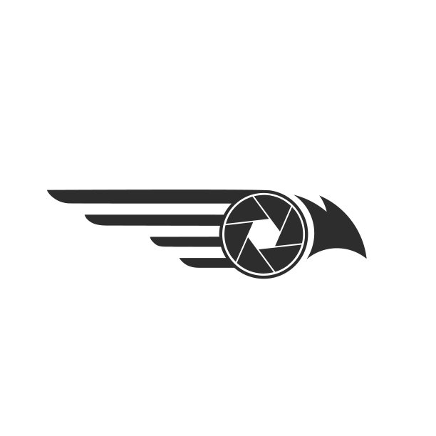 白色背景上的鹰和相机快门图标矢量模板，航拍无人机图标标志符号设计矢量概念模板图片下载