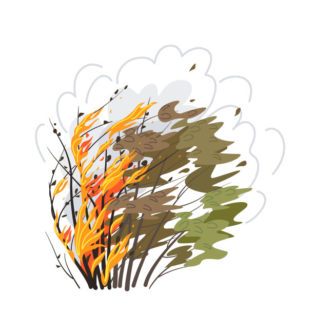 燃烧的灌木丛孤立在白色，野火图片下载