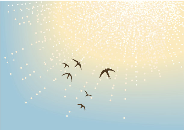 夏天的光图片下载