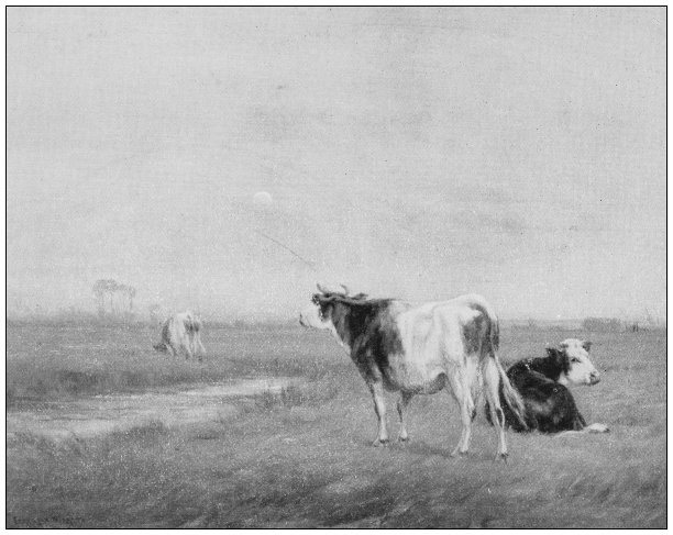 古董绘画照片:户外动物图片下载