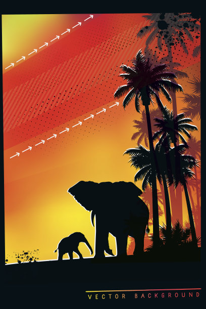 非洲野生动物园的背景，大象爸爸和小象图片下载