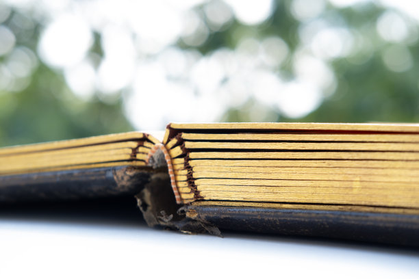 厚旧书页、古着书、古着相册、老家庭照片、古着相册、家庭档案文件、家谱、家谱、追忆祖先、老式快照、复古美学图片下载