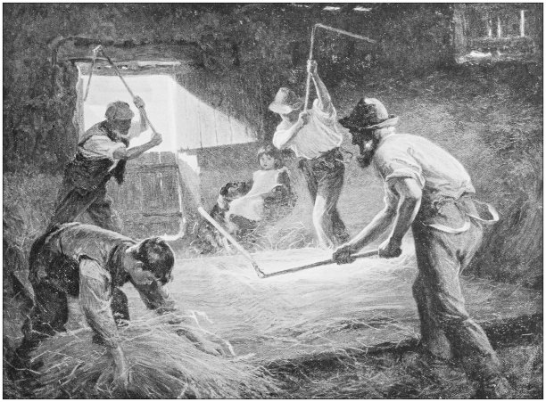 古色古香的绘画照片:农民图片下载