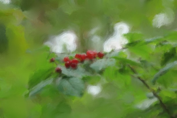 树枝上野生浆果的纹理艺术图片。图片下载