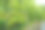 现代家庭花园构图的股票照片充满了许多美丽的植物。时尚的植物内饰。家庭园艺概念。图片下载