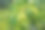 现代家庭花园构图的股票照片充满了许多美丽的植物。时尚的植物内饰。家庭园艺概念。图片下载