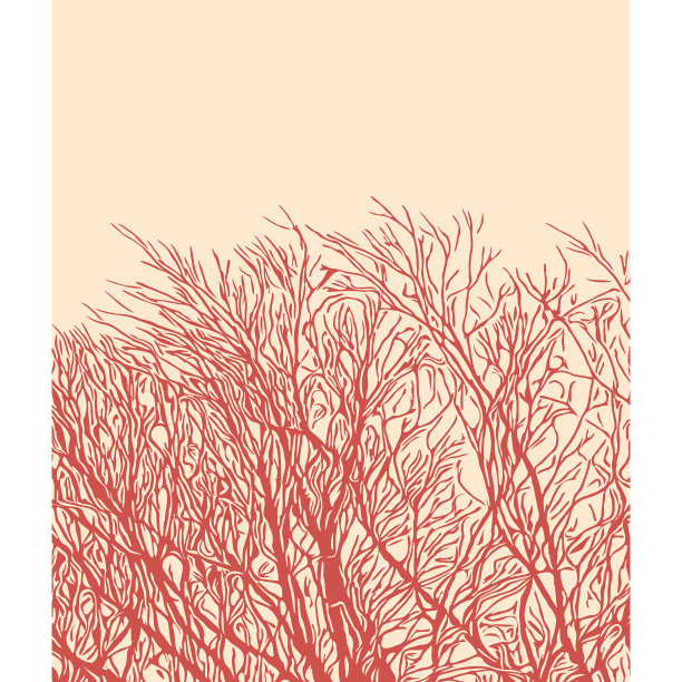 树的轮廓图片下载