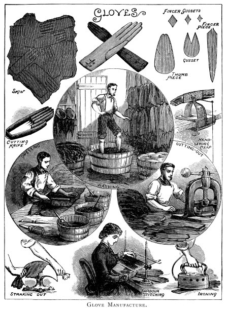19世纪手套制造的步骤图片下载