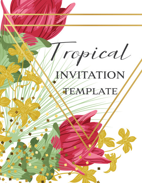 带热带叶子的姜黄属植物花图片下载