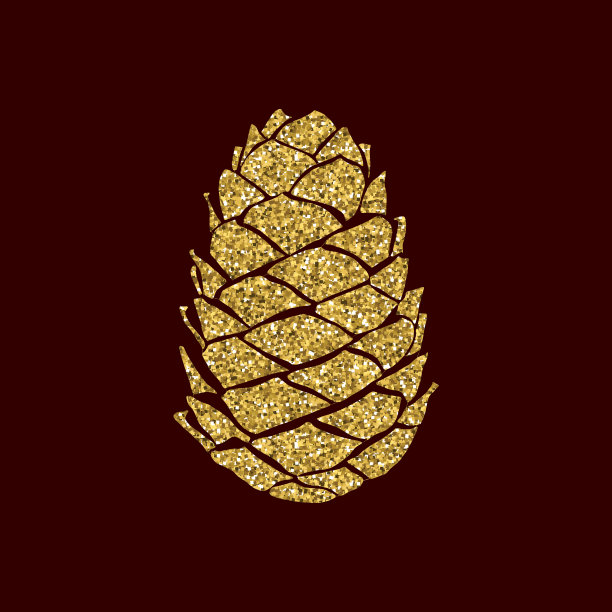 金亮手绘松果。秋冬概念。设计元素感恩节，圣诞节和新年贺卡和设计。晶莹剔透的金松果。寒假装饰设计元素。图片下载